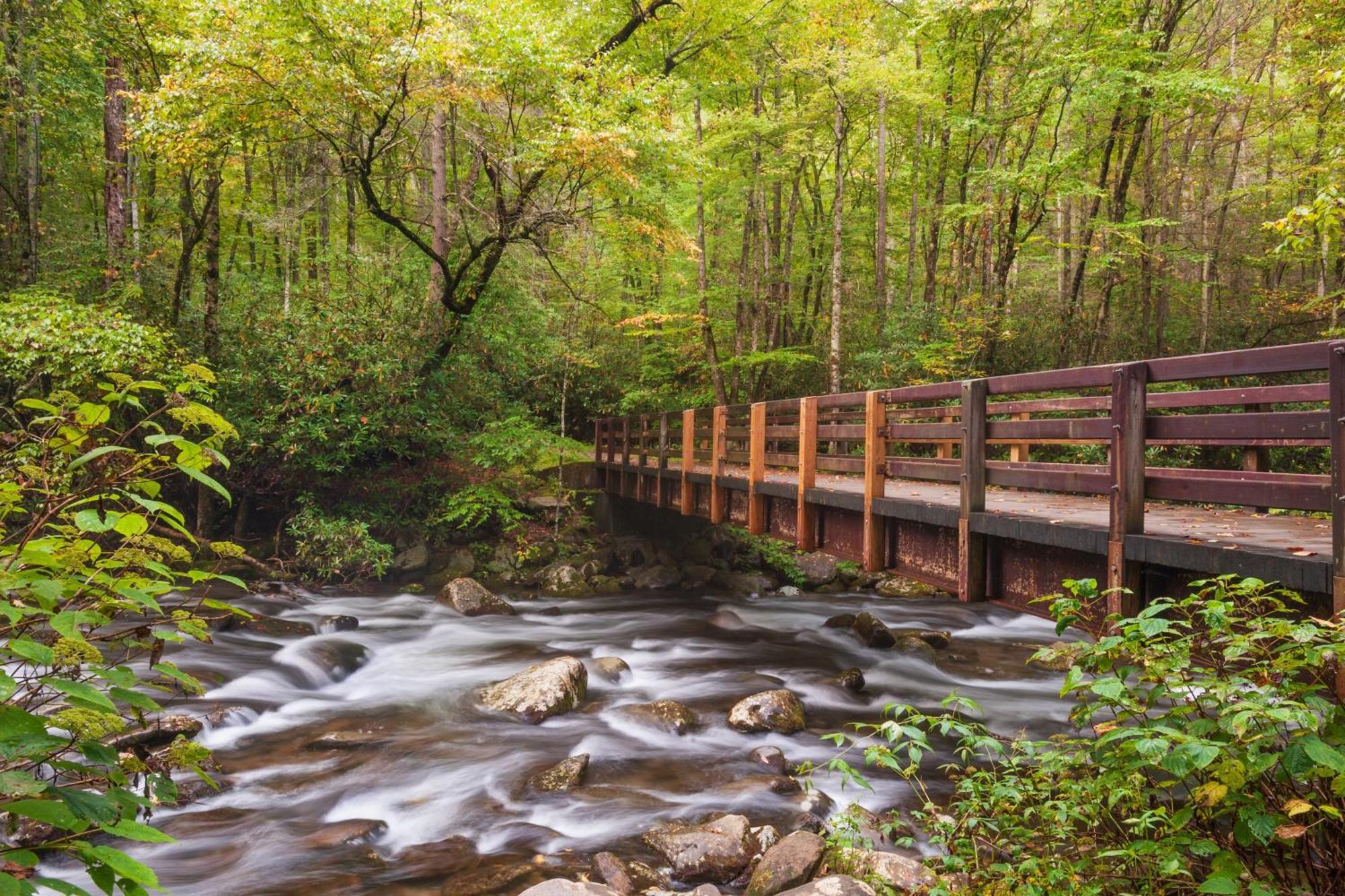 Magical Moments, Hot Tub, Wifi, 1089 Free Tickets Each Paid Day, Dollywood And More Gatlinburg Eksteriør billede